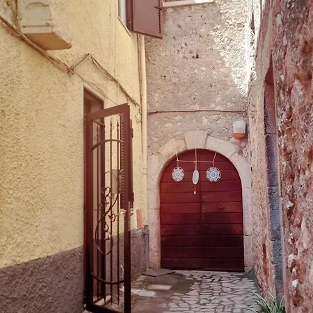 Alley Star Daire Norma